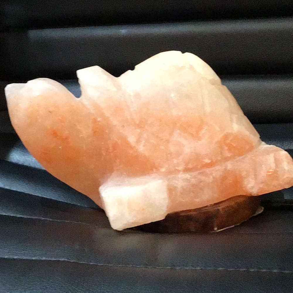 Evolution Salt Turtle Shaped Himalayan Salt Lamp